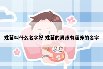 姓苗叫什么名字好 姓苗的男孩有涵养的名字
